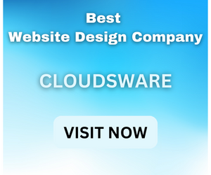 website design company in Panipat